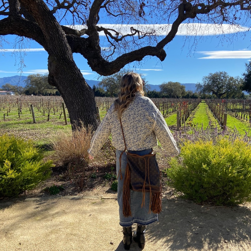 The Southern Gypsy Bags Louis Vuitton Boho Bag